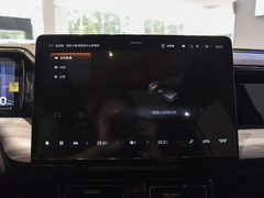 2024款 双擎系列 2.0TM 两驱尊贵版