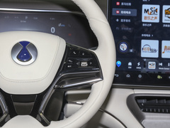 2023款  长续航性能Max版