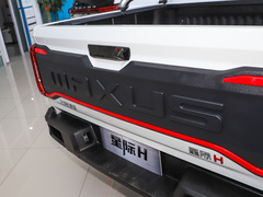 2023款 2.0T 自动四驱汽油豪华版标轴