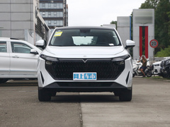 2023款 110km iE版