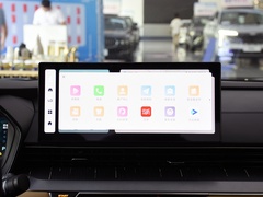 2024款 冠军版 1.5TD-DHT Pro 100KM 卓越型