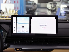 2024款 冠军版 1.5TD-DHT Pro 100KM 卓越型