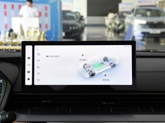 2024款 冠军版 1.5TD-DHT Pro 100KM 卓越型