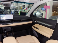 2024款 冠军版 1.5TD-DHT Pro 100KM 卓越型