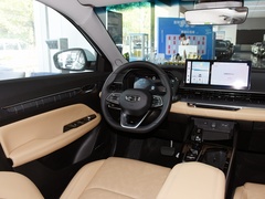 2024款 冠军版 1.5TD-DHT Pro 100KM 卓越型