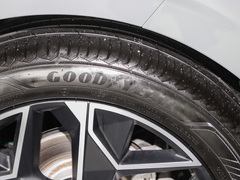 2023款 1.6T 里沃利CROSS版