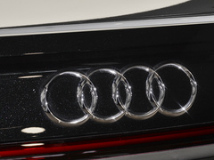 2024款 A8L 50 TFSI quattro 尊享型