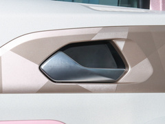 2024款 萤火虫 401KM 荧光