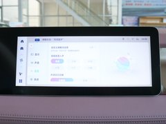 2024款 萤火虫 401KM 荧光