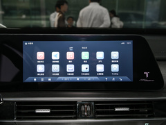 2024款 冠军版 290T 两驱闪耀版 7座