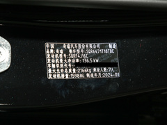 2024款 冠军版 290T 两驱闪耀版 7座