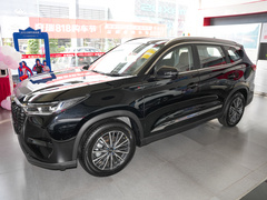 2024款 冠军版 290T 两驱巅峰版 5座