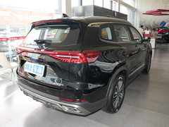 2024款 冠军版 290T 两驱巅峰版 5座