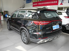 2024款 冠军版 290T 两驱巅峰版 5座