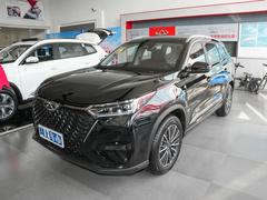 2024款 冠军版 290T 两驱巅峰版 5座