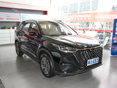 2024款 冠军版 290T 两驱巅峰版 5座