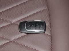 2024款 冠军版 290T 两驱巅峰版 5座