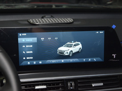2024款 冠军版 390T 两驱巅峰版 5座