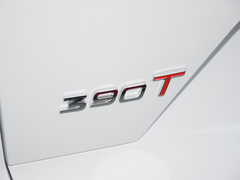 2024款 冠军版 390T 两驱巅峰版 7座