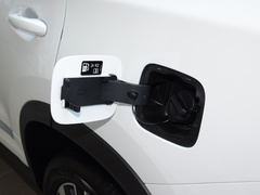 2024款 冠军版 390T 两驱巅峰版 7座