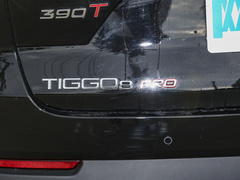 2024款 冠军版 390T 两驱傲视版 5座