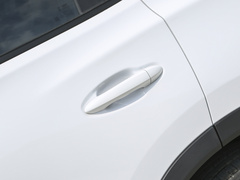 2023款 冠军版 1.5T 100km 荣耀版