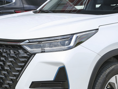 2023款 冠军版 1.5T 100km 荣耀版