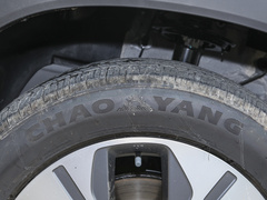 2023款 冠军版 1.5T 100km 王者版