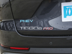 2023款 冠军版 1.5T 100km 王者版