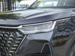 2023款 冠军版 1.5T 100km 王者版