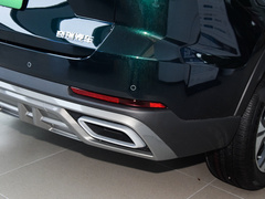 2023款 冠军版 1.5T 100km 王者版