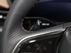 2023款 2.0T 七座臻享款