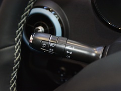 2024款 251km 真爱版