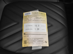2023款  515MAX纯电版