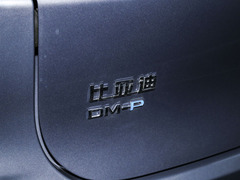 2024款 DM-p 冠军版 215KM 四驱尊享型