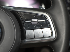 2023款 3.0T V6 汽油极途版 牵引版 