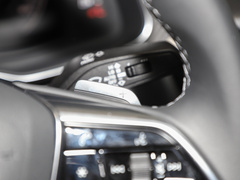 2024款 55 TFSI quattro S-line 黑武士版