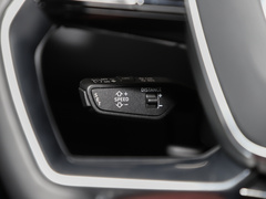 2024款 55 TFSI quattro S-line 黑武士版