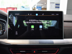 2024款 300TSI DSG星空领先版