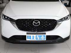 2024款 2.0L 自动两驱智尚型