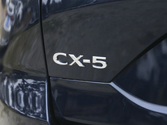 2024款 2.0L 自动两驱智雅型
