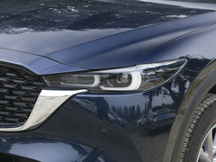 2024款 2.0L 自动两驱智雅型