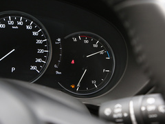 2024款 2.0L 自動兩驅(qū)智雅型