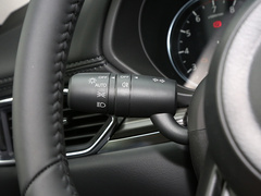 2024款 2.0L 自動兩驅(qū)智雅型