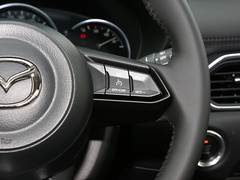 2024款 2.0L 自動兩驅(qū)智雅型