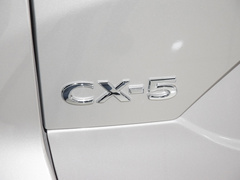 2024款 2.0L 自动两驱智雅型