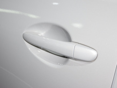 2024款 2.0L 自动两驱智雅型