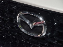 2024款 2.0L 自动两驱智雅型