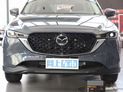 2024款 2.0L 自动两驱智尚Pro