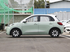 2023款  410km灵犀尊享款